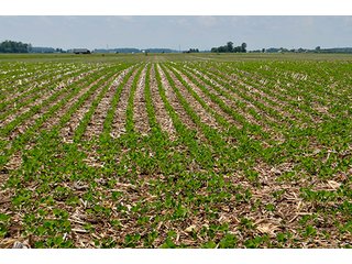 Property photo 153 - LAND AUCTION - 700+/- ACRES OFFERED IN 16 TRACTS IN ALLEN COUNTY, INDIANA
